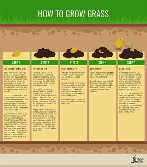 How To Grow Grass
