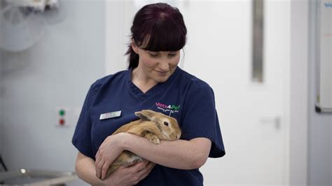 Complete Care For Rabbits Rabbit Advice Vets4pets