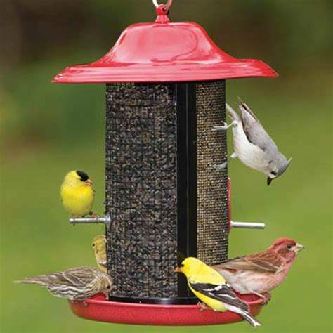 The 9 Best Bird Feeders For Finches Check Out Our Favorites