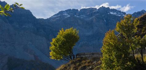 Hiking In Autumn Fall Hikes In Italian Alps Trekking Alps