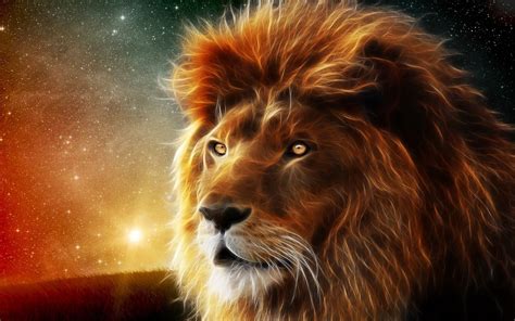 Lion Of The Tribe Of Judah Wallpapers Wallpaper Cave