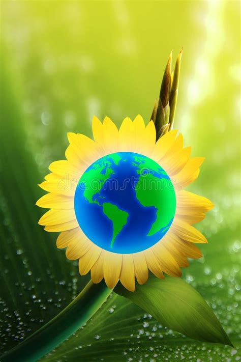 Earth On Sun Flower Stock Image Image Of Ecology Environmet 137866557