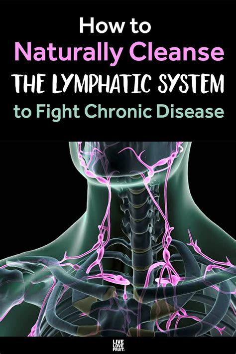 Lymph Drainage Is The Secret To Staying Healthy And Preventing Cancer