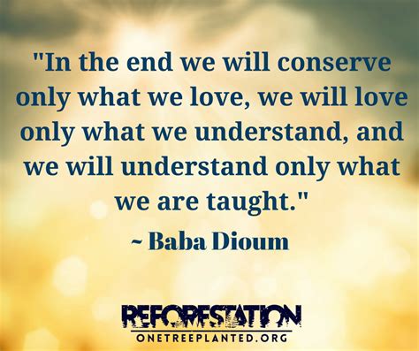 Baba Dioum Quote We Will Love And Respect Only What We Understand