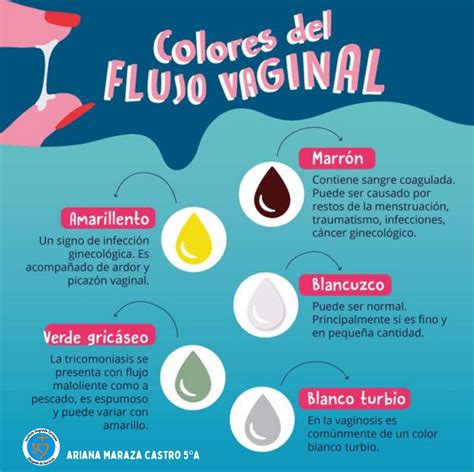 Tipos De Flujo Vaginal Artofit