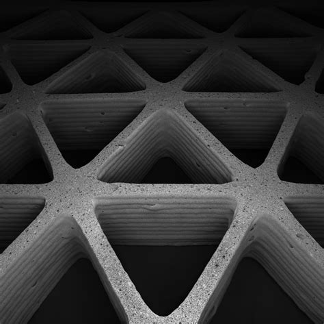 mimicking natures cellular architectures   printing