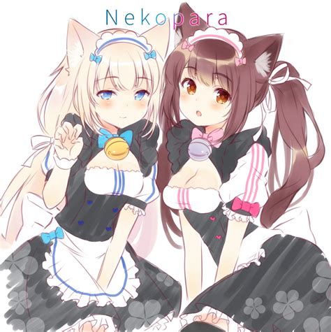 two flavors in cat form nekopara know your meme
