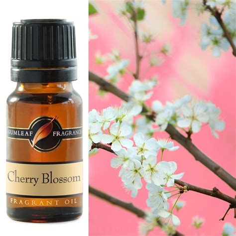 Cherry Blossom Fragrance Oil Gumleaf Fragrance Australia