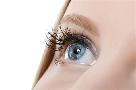 Female Eye With Long Eyelashes Close Up Order Careprost Online For Longer Eyelashes At