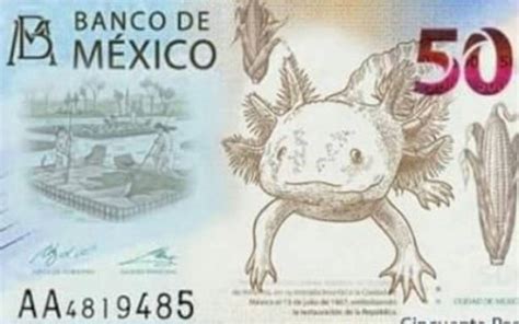 El Ajolote La Nueva Imagen Del Billete De Pesos Noticiassexiz Pix