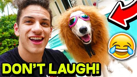 Funny Animal Try Not To Laugh Challenge 🐶😂 Funny Pets Dogs And