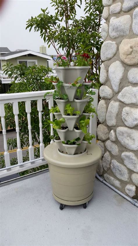 Use The Mr Stacky Pots To Create An At Home Garden Plug In And Grow