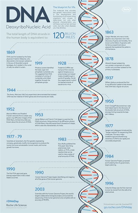 Dna Timeline In 1953 James Watson Francis Crick Maurice Wilkins And