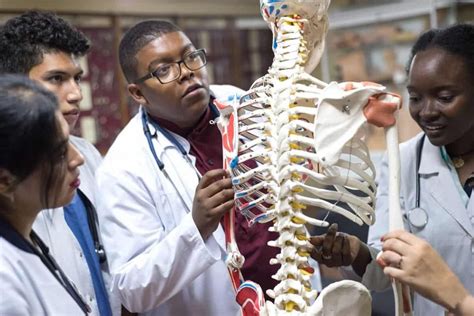 17 Best Physical Therapy Schools In 2024 Full Guide Scholarships Hall