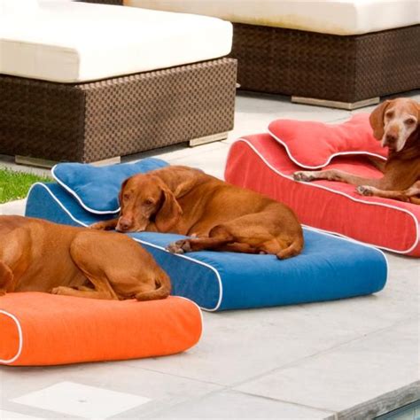 You may also use different colored covers to give your space a new look whenever you like. Memory Foam Contour Pet Lounger | Waterproof dog bed, Dog ...