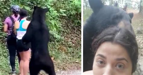Woman Takes Selfie During Extremely Close Encounter With Massive Black Bear