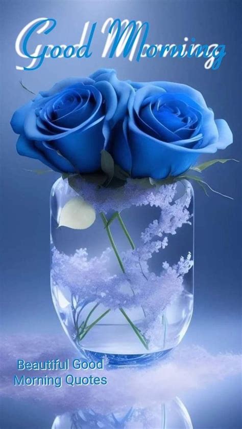 Good Morning Beautiful Blue Roses Pics Good Morning Pictures