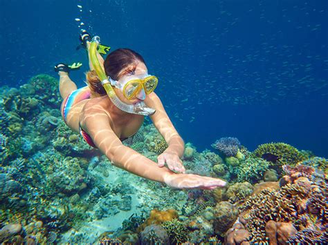 Snorkeling Cruises Snorkeling Cruises And Tours Oahu Tours