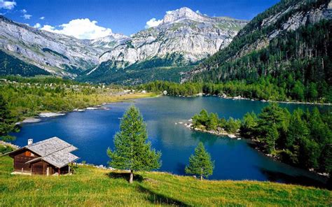Rocky Mountains Forest With Pine Trees Lake With Turquoise Blue Water