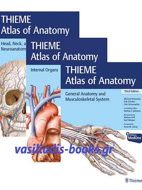 Thieme Atlas Of Anatomy By Schuenke 3rd Edition 3 Volume Set