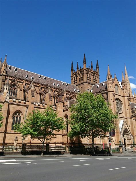 Also, please join me in supporting our priests and asking the intercession of st. St. Mary's Cathedral, Sydney | Cathedral, Places to travel ...