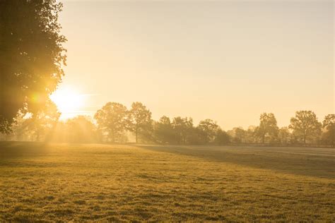 Sonnenaufgang über Den Feldern Foto And Bild Landschaft Äcker Felder