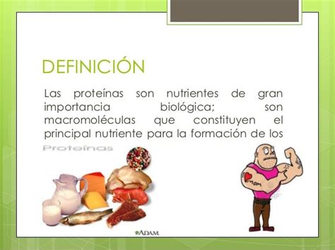 Nutricion Proteinas