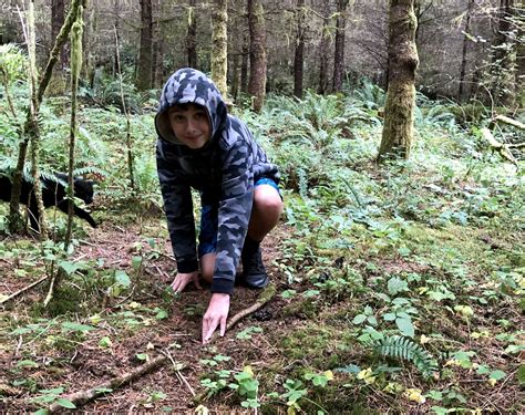 Lets Play How Forest Floor Playgrounds Build Stronger Microbiomes In