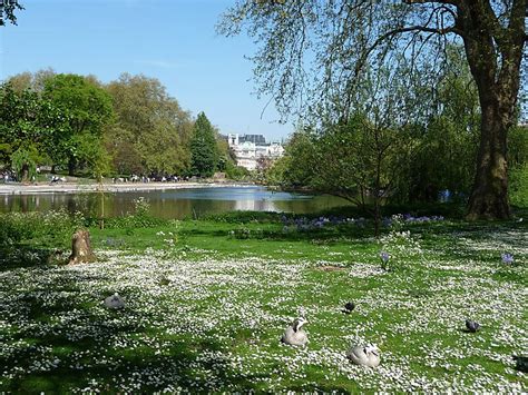 A pretty little park in london, st. St. James's Park in London, UK | Sygic Travel