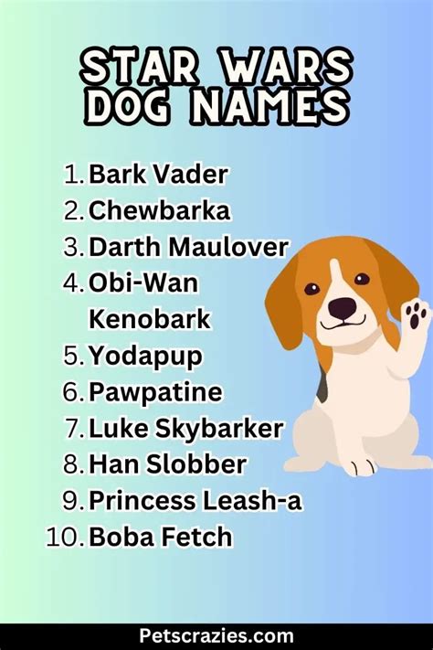200 Star Wars Dog Names Energetic And Fiery Ideas