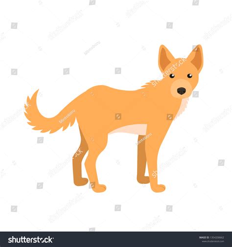 Dingo Isolated Vector Illustration Stock Vector Royalty Free 1354200662