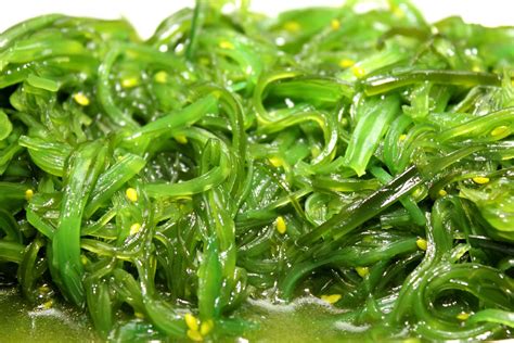 Kinds Of Seaweeds Ng