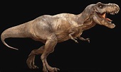 Tiranosaurio Rex ( T- rex) | Wiki | Amino Paleontología Amino