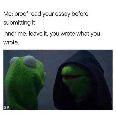 How to write an essay meme. View Out These College Essays Memes