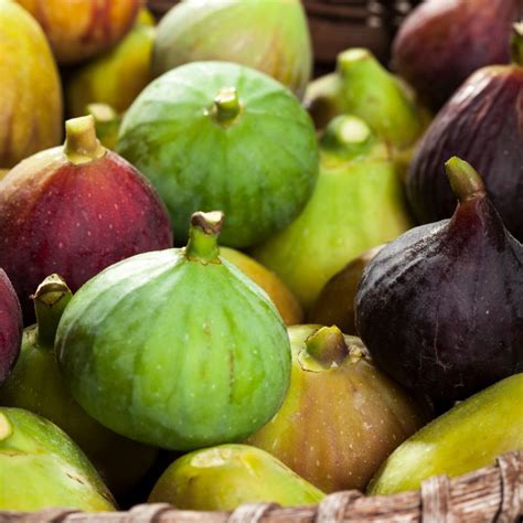 What Do Figs Taste Like Simple And Savory