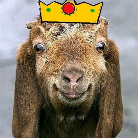 The Goat King Youtube