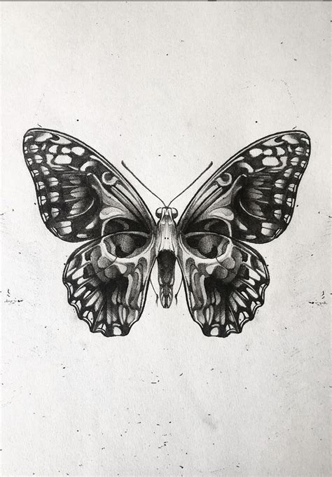 A Black And White Drawing Of A Butterfly