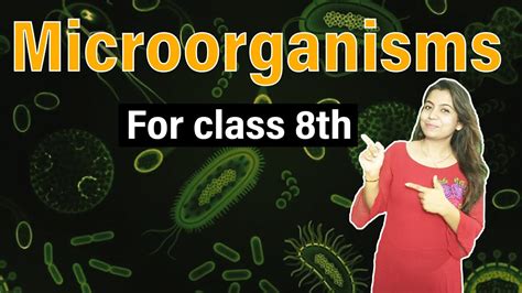 Microorganisms Friend And Foe Easy Visual Learning For NCERT And CBSE