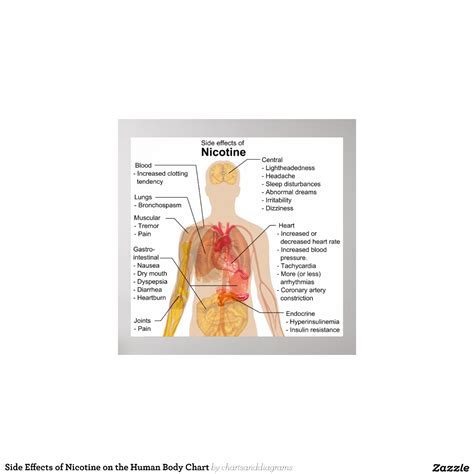 Side Effects Of Nicotine On The Human Body Chart Print Zazzle