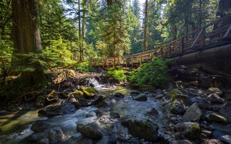 Verify the contractor has an active license. 7 Spectacular Places to Visit in Washington State - trekbible
