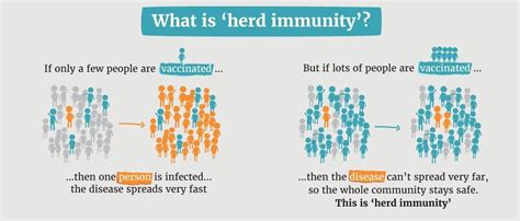 What Is Herd Immunity And Can We Really Achieve It With Coronavirus