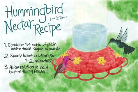 Classic Hummingbird Nectar Recipe