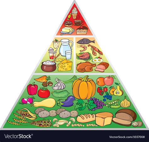 Food Pyramid Royalty Free Vector Image Vectorstock