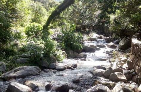 Rescataron A Tres Jóvenes Que Se Habían Perdido En La Quebrada De San