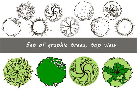 set  graphic trees top view illustrations creative market