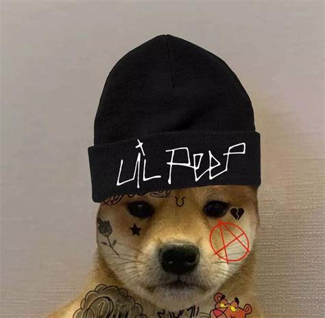 Shiba Inu Wearing Hat Meme Bleumoonproductions