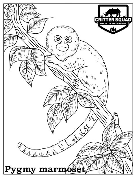23.04.2021 · printable goat coloring pages for kids. Pygmy Marmoset Coloring Page - C.S.W.D