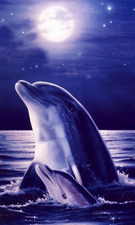 Free Download Download Dolphin Live Wallpaper For Android Dolphin