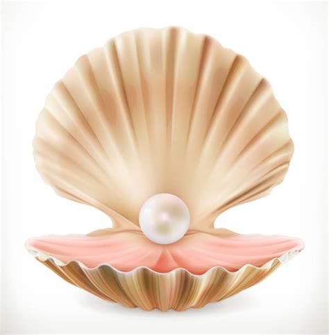 Open Clam With Pearl