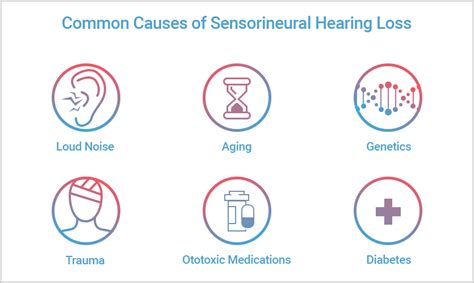 Causes Of Hearing Loss Welcome To Al Barakat Hearing Care